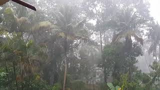 Karunagappally Thazhava It's raining .........