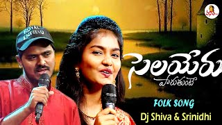 Selayeru Paduthunte O Pilla Song | Dj Shiva, Srinidhi | Folk Song | Poonakalu Loading | Vanitha TV