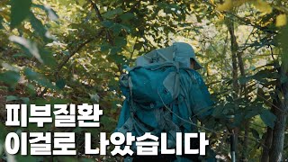 [약초산행] 이것을 꾸준히 달여 먹으면 피부병을 치료합니다