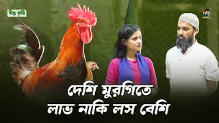 Deepto Krishi | দেশি মুরগি পালনে সবার কেনো এত ভয় || দেশি মুরগিতে লাভ নাকি লস বেশি | Desi Murgi Palan