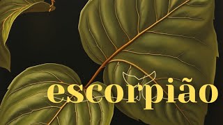 💐 ESCORPIÃO | acalma o CORAÇÃO. uma notificação IMPORTANTE chegará EM BREVE 💌