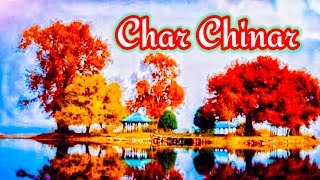 Char Chinar Most Beautiful Place in Jammu and Kashmir ❤️❤️🔥🔥