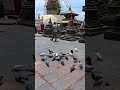 swayambhu darshan kathmandu nepal 2024