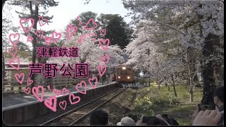 桜のトンネルと津軽鉄道「走れメロス号」