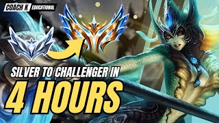 Silver to Challenger: NAMI - Study Room