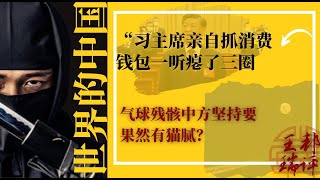 习主席亲自指挥抓消费；钱包一听瘪了三圈；中方坚持要气球残骸，果然有猫腻？胡鑫宇案新增疑点，但难定论；抓消费不如抓裤裆，年轻人不生孩子才是核心｜《#世界的中国》（20230207）