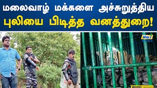 மலைவாழ் மக்களை அச்சுறுத்திய புலியை பிடித்த வனத்துறை! | Kanyakumari | Peoples | Forest Dept | Tiger