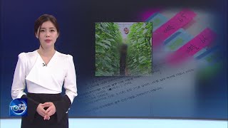 FARM WORKERS RUN AWAY IN RURAL AREAS (News Today) l KBS WORLD TV 210831