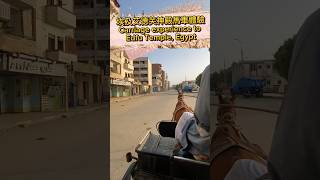 埃及旅遊艾德芙神殿馬車體驗！Carriage experience to Edfu Temple, Egypt Travel!  #shorts #egypttravel