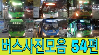 버스사진모음 54편