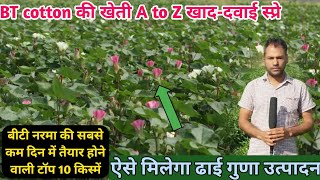 बीटी कॉटन / नरमा की खेती ये 10 बातें हर किसान को पता होनी चाहिए👍BT cotton farming | Kapas ki kheti 🌱