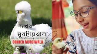 শখের মুরগিওয়ালা || sokher murgiwala || Mottled cochin || কোচিন মুরগির বাচ্চা