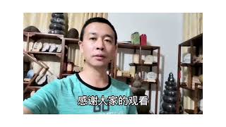 保护区外古茶树曾经无人管，现在变宝贝，做成普洱茶生态又好喝！