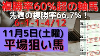 【競馬予想】１１月５日の平場勝負レース該当馬（４レース）！複勝率６０％超の軸馬（７レース）の配信！