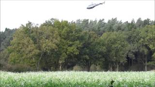 Kalken der Wälder -  Liming forest soil