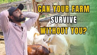 HOW TO MAKE YOUR FARM THRIVE IN YOUR ABSENCE| Farming In Africa