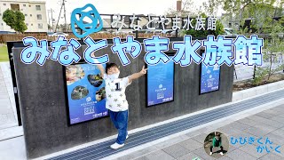 みなとやま水族館に行ってきたよ！ Aquarium