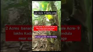 2 Acres banana garden for sale Pulivendula near Kadapa district AP 1 borewell available Acre -9lakhs