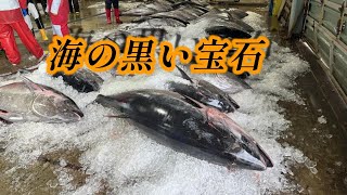 100㎏級の魚が次々と船に上がる！