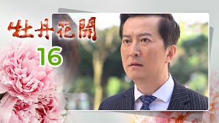 牡丹花開 Peony In Bloom EP.016