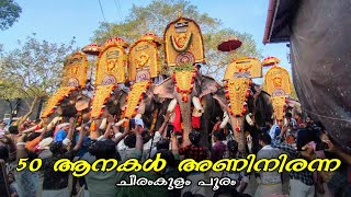 ചീരംകുളം പൂരത്തിന് ആനകളുടെ എൻട്രികൾ |cheeramkulam pooram 2024 Chirakkal kalidasan|Puthupally kesavan