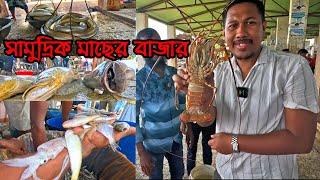 কক্সবাজারের ফিশারি ঘাটে সামুদ্রিক মাছের মেলা | Info Hunter