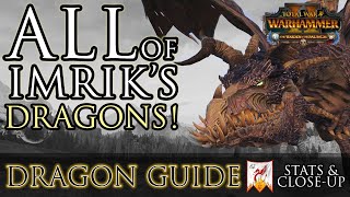 ALL of Imrik's DRAGONS! - Dragon Stats \u0026 Close-ups Warhammer 2 FLC