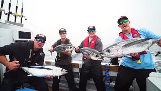 Albacore Tuna off the coast of Tofino