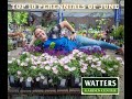 Top 10 How to Garden – Top 10 Perennials of the Season are Planted in June