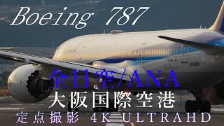 大阪国際空港 ANA（Boeing787）定点 4K ULTRA HD