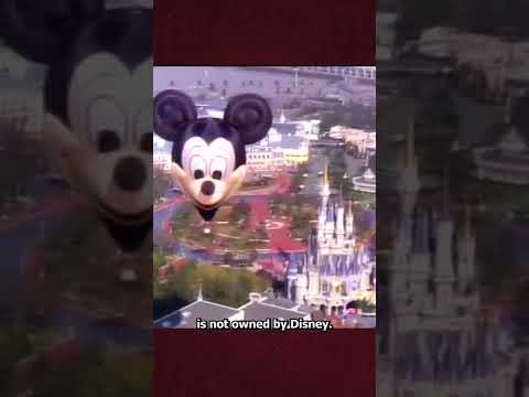 What is the least popular Disney park?