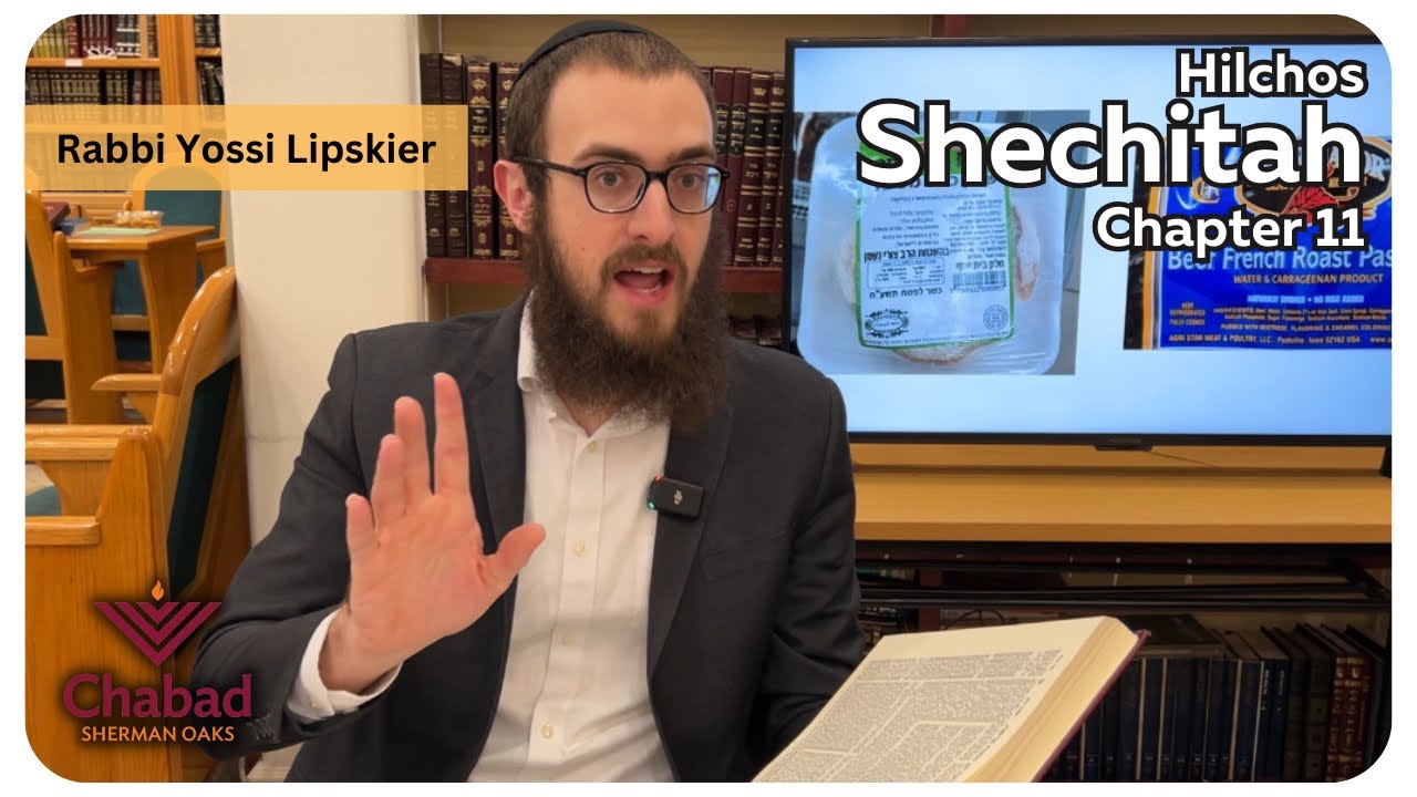 Rambam Hilchos Shechitah Chapter 11 Rabbi Yossi Lipskier Youtube