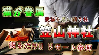 【猫好き】猫が御眷属　笠山神社　猫の御朱印が大人気の神社　こんな参拝者も来る!!