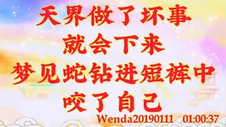 卢台长开示：天界做了坏事就会下来；梦见蛇钻进短裤中，咬了自己Wenda20190111   01:00:37