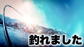 堤防でアジを泳がせたら遂に釣れた！！！！ショアジギング から泳がせ釣り！そして最後に悲劇が…