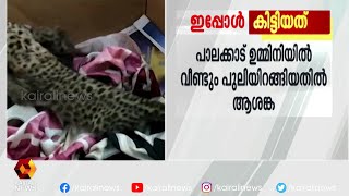 പുലിയെ കഴിഞ്ഞ ദിവസവും കണ്ടതായി നാട്ടുകാർ  | Kairali News