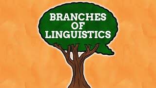 The Many Branches Of Linguistics