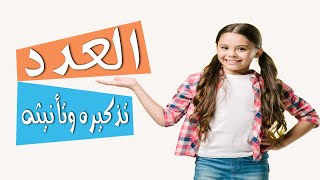 العدد - تذكيره وتأنيثه