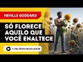 NEVILLE GODDARD | As coisas dependem de nossa consciência para continuarem existindo