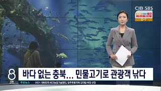 바다 없는 충북... 민물고기로 관광객을 낚다