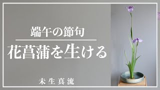 【格花】端午の節句を楽しむ、花菖蒲の生け方。客位13葉3花 Ikebana-Japanese Iris