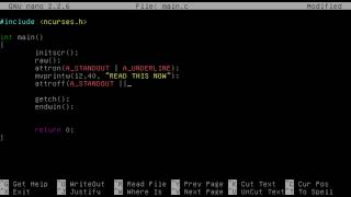 NCurses Tutorial 3 Attributes