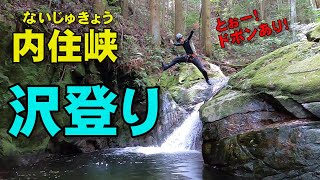 【沢登り】三郡山系にある内住峡（ないじゅきょう）に沢登りに行ってきました！