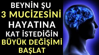 Beynin Şu 3 Mucizesini Hayatına Kat İstediğin Büyük Değişimi Başlat