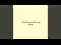 Ember Fragments Fragile