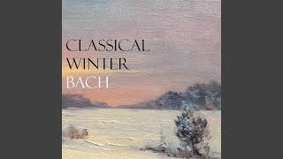 J.S. Bach: Sonata for Violin Solo No. 2 in A Minor, BWV 1003: 4. Allegro