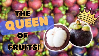 Mangosteen: The Queen of Fruits You Need to Know About!