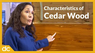 Cedar Wood Characteristics: Should You Buy Cedar Furniture?