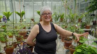 #YUPositiveChange: Professor Dawn Bazely