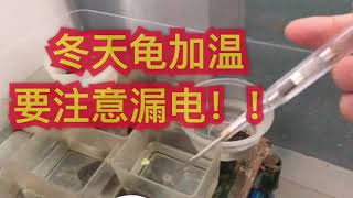 冬天龟龟加温要注意什么？